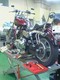 NEC_0475.jpg